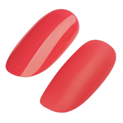 UD GEL POLISH #213 15ml