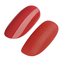 UD GEL POLISH #260 15ml