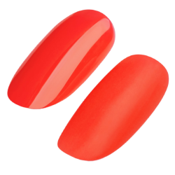 UD GEL POLISH #262 15ml