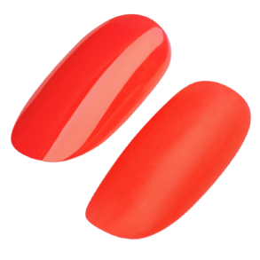 UD GEL POLISH #262 15ml